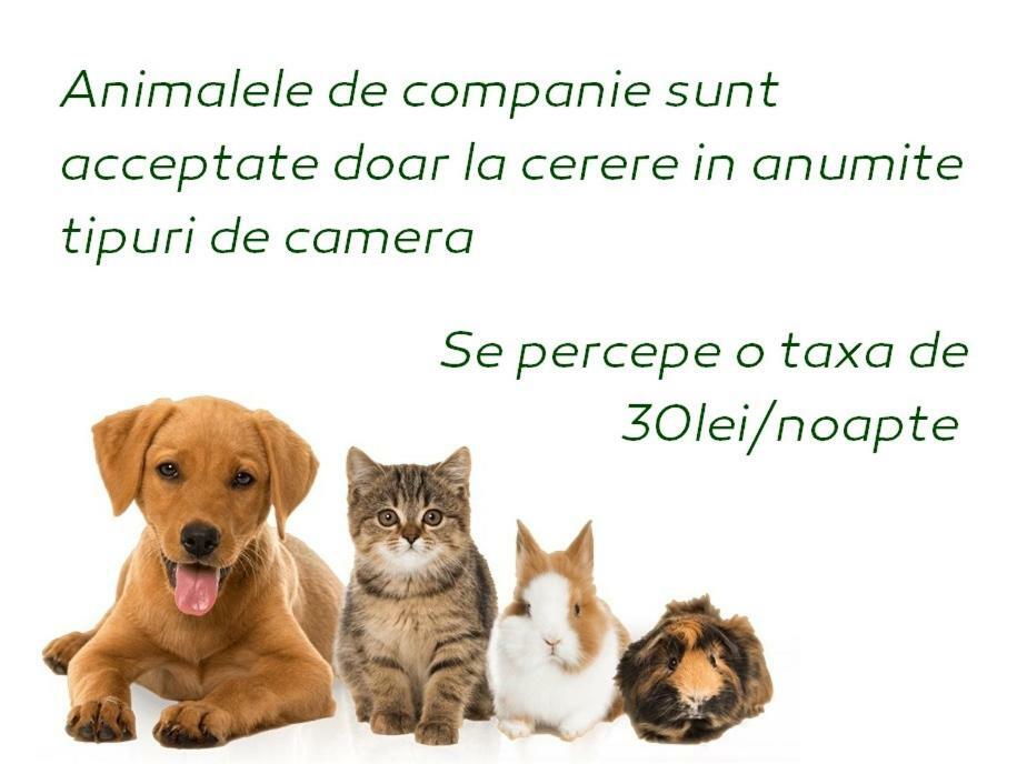 Vila Privilege Felix Baile Felix Ngoại thất bức ảnh
